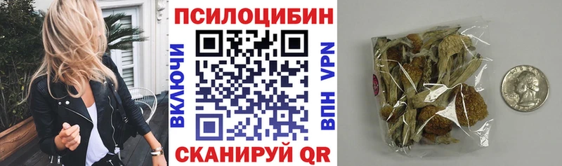 ОМГ ОМГ рабочий сайт  как найти закладки  маркетплейс какой сайт  Псилоцибиновые грибы Psilocybine cubensis  Егорьевск 